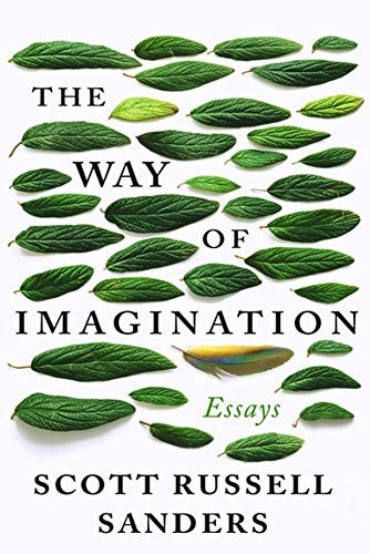 Cover of The Way of Imagination