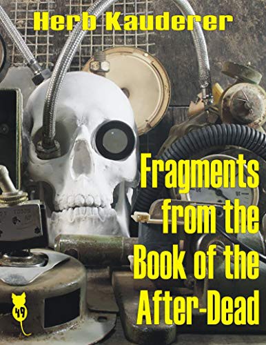 Cover of Fragments from the Book of the After-Dead
