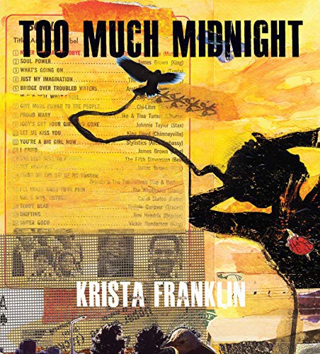Cover of Too Much Midnight
