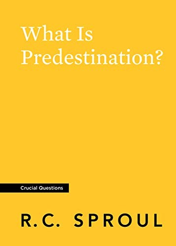 Cover of What Is Predestination?