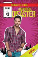 Cover of A Beautiful Disaster