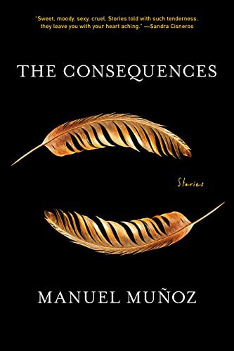 Cover of The Consequences: Stories
