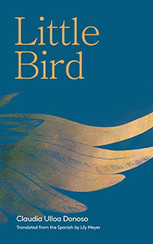 Cover of Little Bird