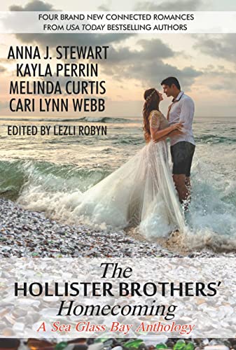 Cover of The Hollister Brothers' Homecoming
