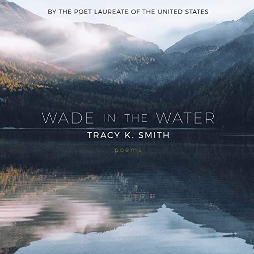 Cover of Wade in the Water