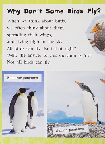 Cover of Not All Birds Fly