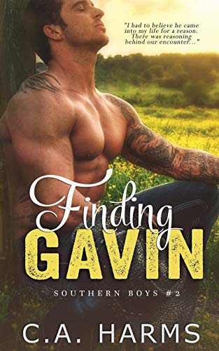 Cover of Finding Gavin