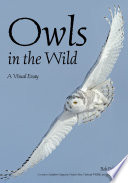Cover of Owls In The Wild