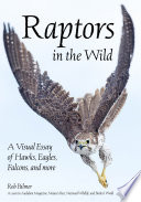 Cover of Raptors in the Wild