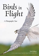 Cover of Birds in Flight