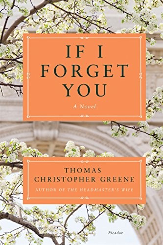 Cover of If I Forget You