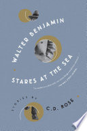Cover of Walter Benjamin Stares at the Sea