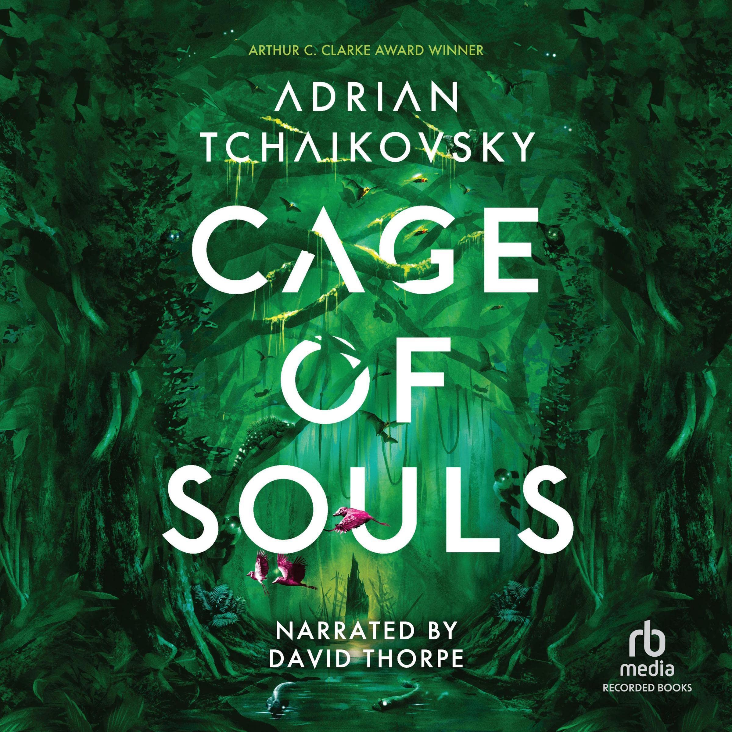 Cover of Cage of Souls