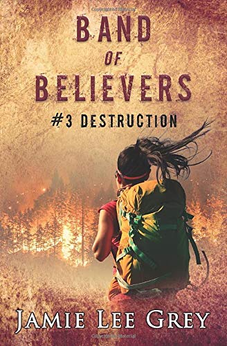 Cover of Destruction