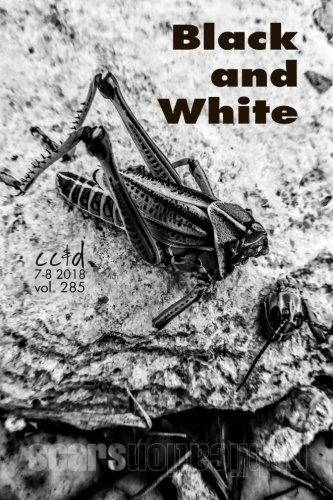 Cover of Black and White