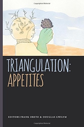 Cover of Triangulation