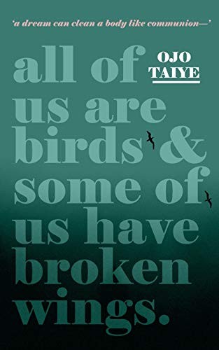 Cover of All of Us are Birds and Some of Us Have Broken Wings