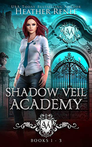 Cover of Shadow Veil Academy