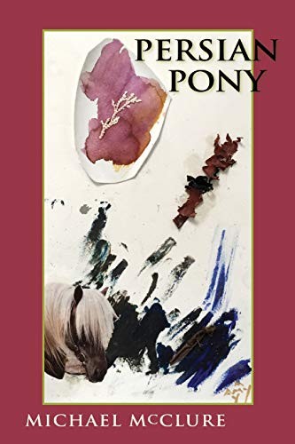 Cover of Persian Pony