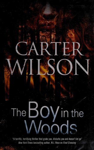 Cover of The boy in the woods