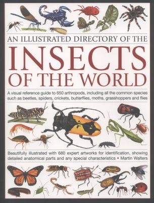 Cover of An Illustrated Directory Of The Insects Of The World A Visual Reference Guide To 650 Arthropods Including All The Common Species Such As Beetles Spiders Crickets Butterflies Moths Grasshoppers And Flies
