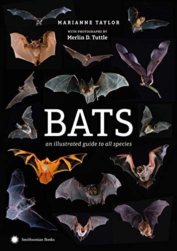 Cover of Bats