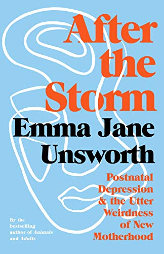 Cover of After the Storm: Postnatal Depression and the Utter Weirdness of New Motherhood