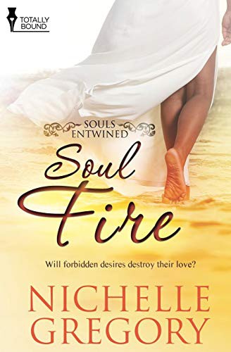 Cover of Soul Fire