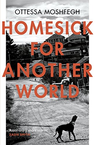 Cover of Homesick for Another World