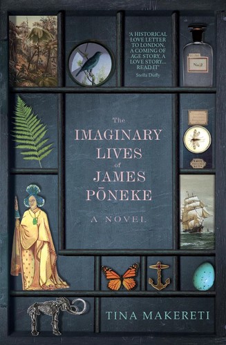 Cover of The Imaginary Lives of James Poneke