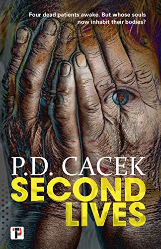 Cover of Second Lives