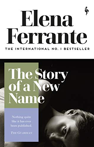 Cover of The Story of a New Name