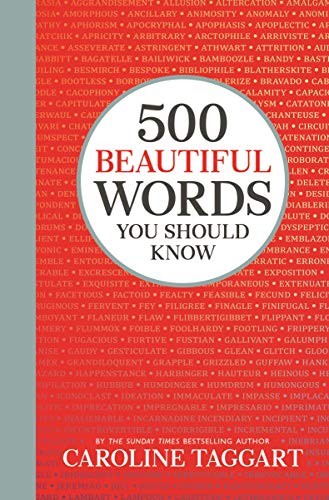 Cover of 500 Beautiful Words You Should Know