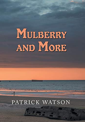 Cover of Mulberry and More