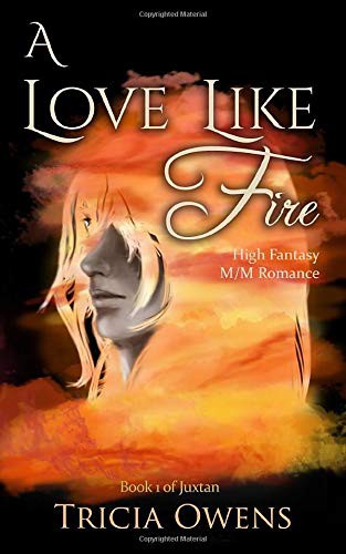 Cover of A Love Like Fire