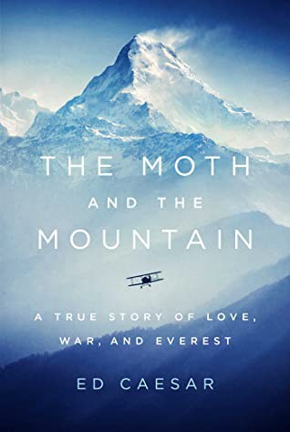 Cover of Moth and the Mountain