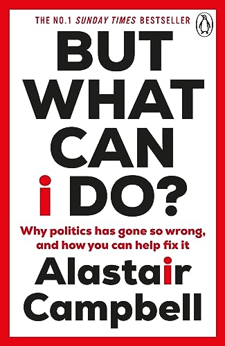 Cover of But What Can I Do?: Why Politics Has Gone So Wrong, and How You Can Help Fix It