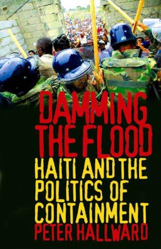 Cover of Damming the Flood