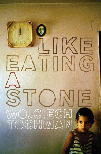 Cover of Like Eating a Stone