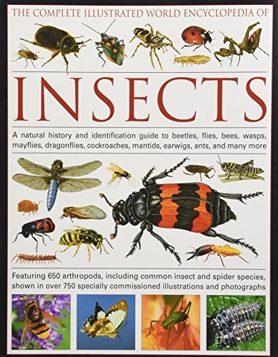 Cover of The complete illustrated world encyclopedia of insects