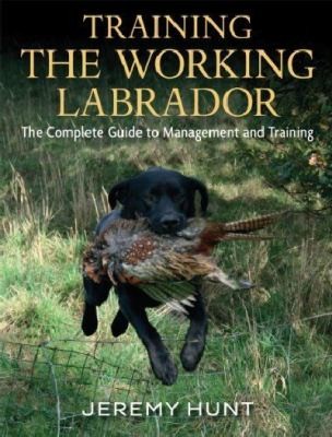 Cover of Training the Working Labrador
