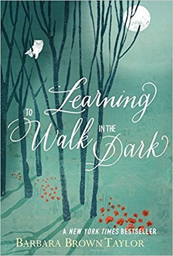 Cover of Learning to walk in the dark