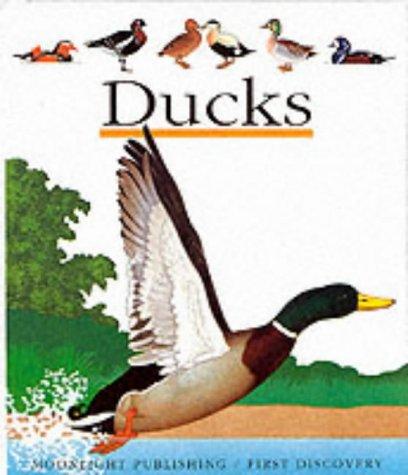 Cover of Ducks (First Discovery)