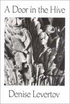 Cover of Door in the Hive, A