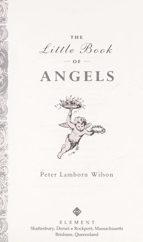 Cover of The little book of angels