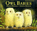 Cover of Owl Babies: Gujarati English