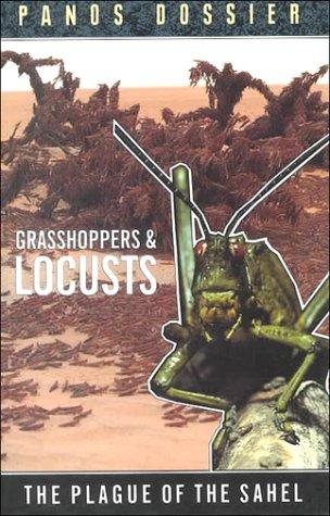 Cover of Grasshoppers and Locusts