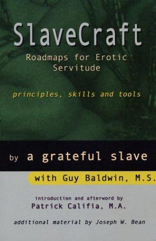 Cover of SlaveCraft