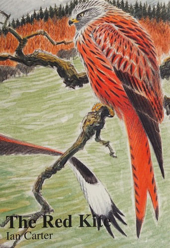Cover of The red kite