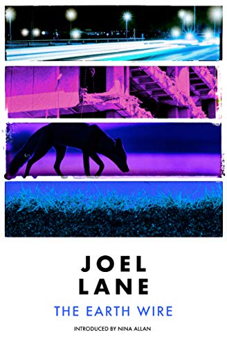 Cover of The Earth Wire